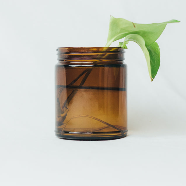 Cleaned and reused glassware used for propagating plants to support sustainability.